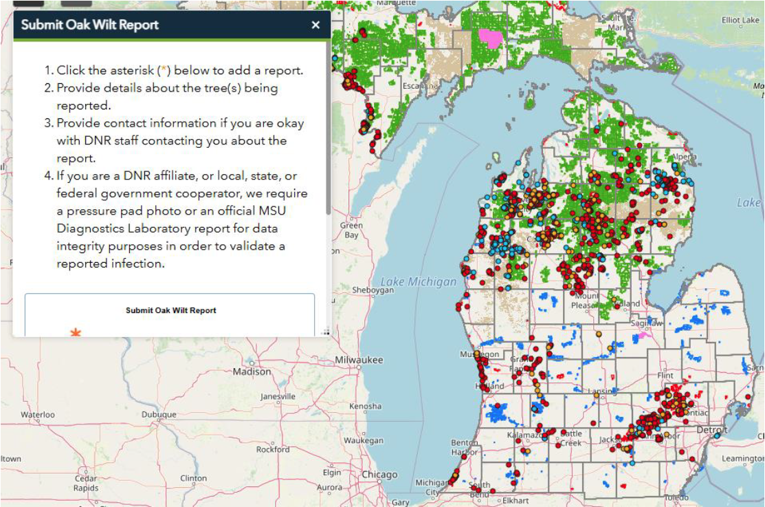 Screenshot of the MDNR Oak Wilt Interactive Mapping Tool.